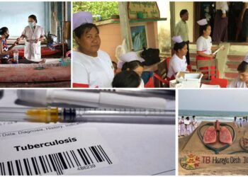 India WHO TB Report progress