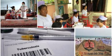 India WHO TB Report progress
