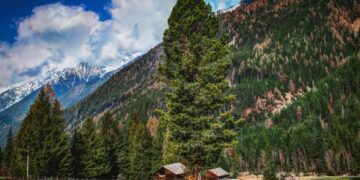 हिमाचल में 5 दिन की शानदार ट्रिप, शिमला-मनाली के साथ धर्मशाला घूमकर प्रकृति, रोमांच और शांति का पूरा आनंद लें