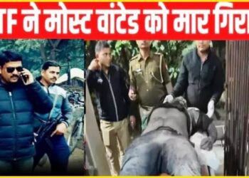 DSP डीके शाही ने STF के साथ मिलकर वाकिफ को एनकाउंटर में किया ढेर, जानें कौन था मारा गया गो तस्कर