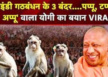 सीएम योगी आदित्यनाथ ने बिहार चुनाव में किया खेला, ‘पप्पू, अप्पू और टप्पू’ का जिक्र कर मचा दिया तहलका