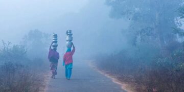 UP Weather Update: यूपी के जिलों में कोहरा और हल्की ठंड, मौसम रहेगा सुहाना