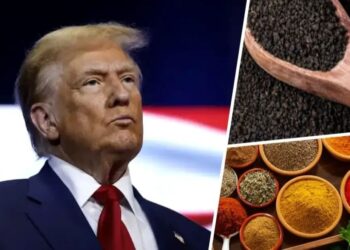 US Tariff Cut: ट्रंप आए बैकफुट पर, टैरिफ नीति क्यों हुई फेल भारतीय मसालों और चाय को मिली बड़ी राहत
