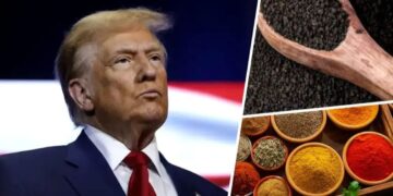 US Tariff Cut: ट्रंप आए बैकफुट पर, टैरिफ नीति क्यों हुई फेल भारतीय मसालों और चाय को मिली बड़ी राहत