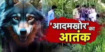 UP News: बहराइच में फिर से लौटा खूंखार भेड़िया, दो बच्च्चों को जिंदा निगल गया आदमखोर ‘लंगड़ा’