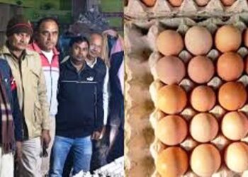 पकड़ी गई ‘सफेद जहर’ की फैक्ट्री, आर्टिफिशियल रंग से मुर्गी के देसी अंडे बना रही थी ‘अल्लाह खा एंड कंपनी’