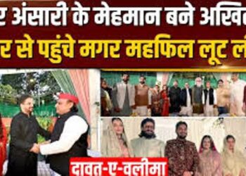 हाई प्रोफाइल वेडिंग रिसेप्शन के जरिए उमर ने दिखाया दबदबा, अखिलेश-ओवैसी ने मुख्तार की बहू को क्या दिया तोहफा