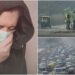 Delhi Air Pollution: दिल्ली की देश की राजधानी पर छाया ज़हरीला धुंध का कहर हवा बनी ज़हर, डॉक्टरों ने क्या दी चेतावनी