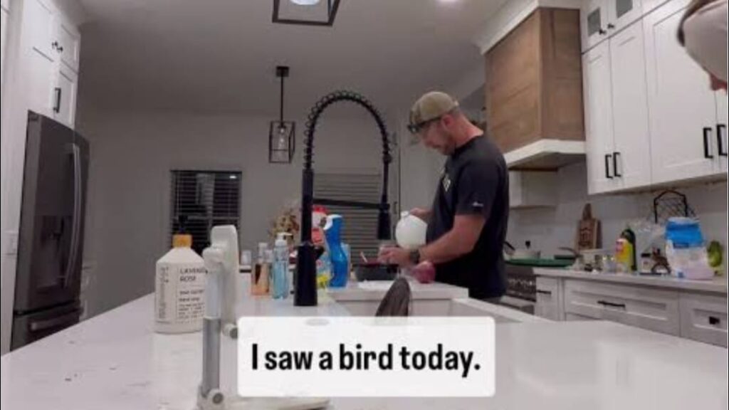 : Bird theory test emotional bonding couples trend