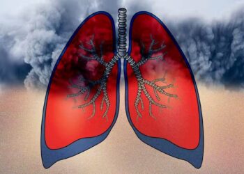 प्रदूषित हवा फेफड़ों पर कैसे हमला करती है? बचने का क्या है उपाय?