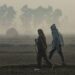 Uttar Pradesh weather fog alert update