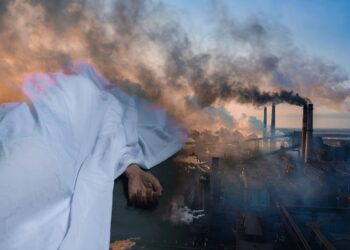 वायु प्रदूषण से कितनी मौतें? मंत्री जी बोले “हमारे पास नहीं है कोई वैध आंकड़ा”