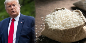 अब चावल के बहाने ट्रंप भारत पर फिर से नए टैरिफ़ लगाएंगे? समझिए कितना बड़ा है असल खतरा