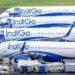 IndiGo