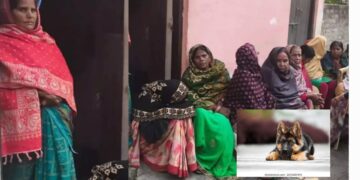 Lucknow News: दो बहनों ने की आत्महत्या, पालतू कुत्ते की बीमारी से टूट गया था मन, फिनाइल पीने से गई जान