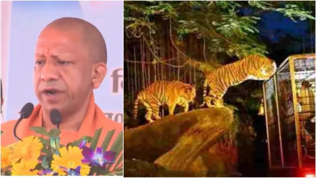 Kukrail Night Safari Tourism