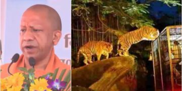 Kukrail Night Safari Tourism