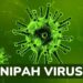 Nipah virus outbreak in West Bengal