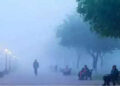 Delhi NCR Cold Wave