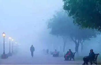Delhi NCR Cold Wave