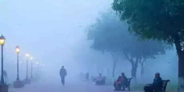 Delhi NCR Cold Wave
