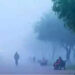 Delhi NCR Cold Wave