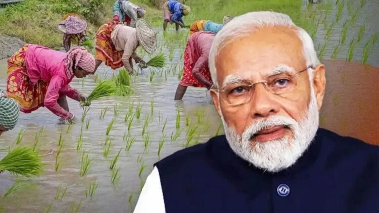 PM Kisan 22nd installment update