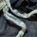 Auraiya girl snake skin escape drama