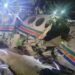 Chatra air ambulance crash 2026