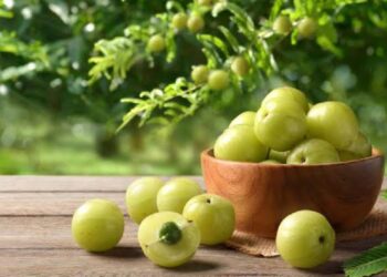 संतरे से कई गुना ज्यादा होता है इस विटामिन C होता है इस चीज़ में,दाम जानकर रह जाएँगे हैरान