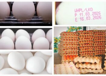 up egg expiry date compulsory