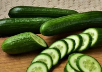 Cucumber: गर्मियों में खीरे से पाएँ ठंडक, किसको नहीं खाना चाहिए जानिए सही तरीका तभी मिलेंगे पूरे फायदे