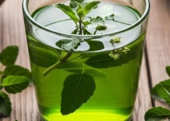 Tulsi Leaf Benefits: रोज़ तुलसी के पत्ते खाने से मिलते हैं ये जबरदस्त फायदे, जानिए कैसे करें इसका सेवन