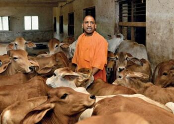 Uttar Pradesh: योगी सरकार की नई पहल अब गौशालाओं में चलेंगे कूलर और फॉगर, बेजुबानों को गर्मी से मिलेगी राहत