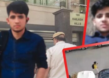 Delhi murder case Rahul Meena arrest