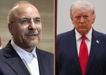 Iran-US War: किसने अमेरिका पर साधा निशाना, F-15E विमान गिराने के दावे के बाद ईरान के स्पीकर ने ट्रंप पर कसा तंज