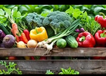 chemical free vegetables