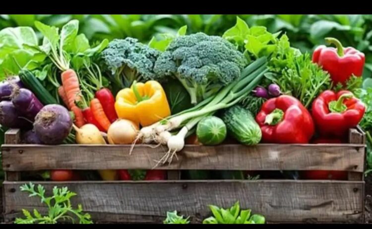 chemical free vegetables