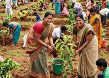 Uttar Pradesh: हरियाली बढ़ाने की बड़ी पहल,योगी सरकार का मेगा प्लांटेशन प्लान की तैयारी