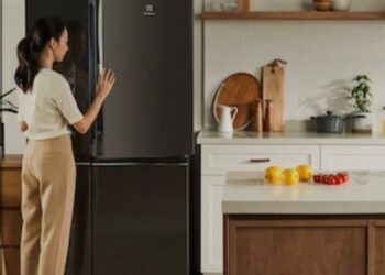 Fridge Safety :अपने फ्रिज की बेहतर सेहत के लिए नज़र अंदाज़ न करे ये संकेत,वरना उठाना पड़ेगा भरी नुकसान