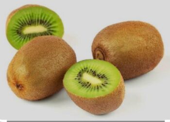 Kiwi Benefits: रोज सुबह 2 कीवी खाने से इस बीमारी से मिलती है राहत,रिसर्च में सामने आए और भी फायदे