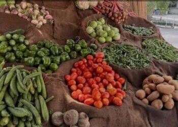 Agriculture News :इन सब्ज़ियों के दामों में क्यों आई भारी गिरावट? जानिए किस मुश्किल से जूझ रहे हैं किसान