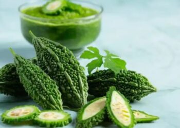 Bitter Gourd Benefits: गर्मी में बढ़ती स्वास्थ्य समस्याएं का रामबाण, कड़वा है पर पोषक तत्वों से भरपूर, सेहत के लिए बेहद असरदार
