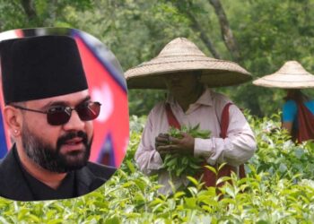 Tea Import Rule : भारत में चाय आयात के नियम बदले, हर खेप की लैब जांच जरूरी, निर्यातकों की बढ़ी चिंता