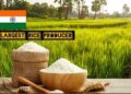 Rice Production:भारतीय किसानों की मेहनत रंग लाई, अब दुनिया में भारत का चावल नंबर वन