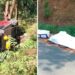 Nainital Road Accident: भवाली में हुआ दर्दनाक हादसा, गहरी खाई में कार गिरने से एक ही परिवार के पांच लोगों की गई जान