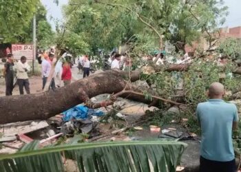 Weather Havoc in U P: मौसम ने बदला अचानक रुख, आंधी-बारिश का तांडव, 24 लोगों की मौत से मचा हाहाकार