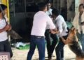 Lucknow News: बिजली चोरी पकड़ने गई टीम पर हमला, कर्मचारियों को पीटा, कुत्तों से भी कराया हमला