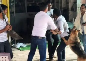 Lucknow News: बिजली चोरी पकड़ने गई टीम पर हमला, कर्मचारियों को पीटा, कुत्तों से भी कराया हमला