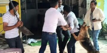 Lucknow News: बिजली चोरी पकड़ने गई टीम पर हमला, कर्मचारियों को पीटा, कुत्तों से भी कराया हमला